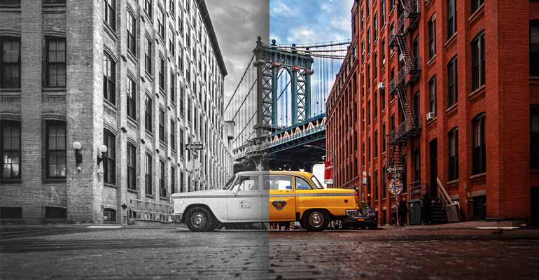 Black and White Colorization